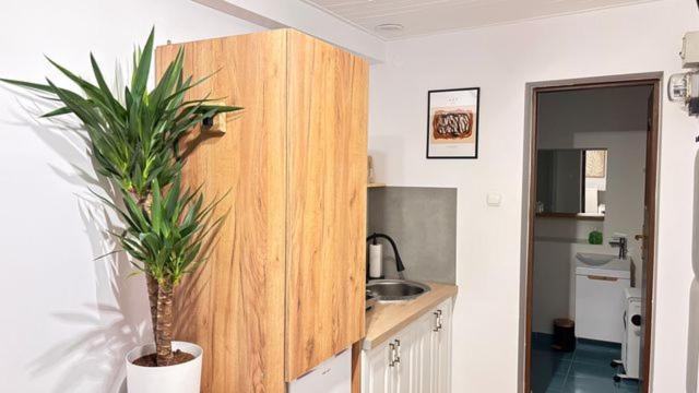 Apartament Boho Stare Miasto Nowy Sacz Exterior photo